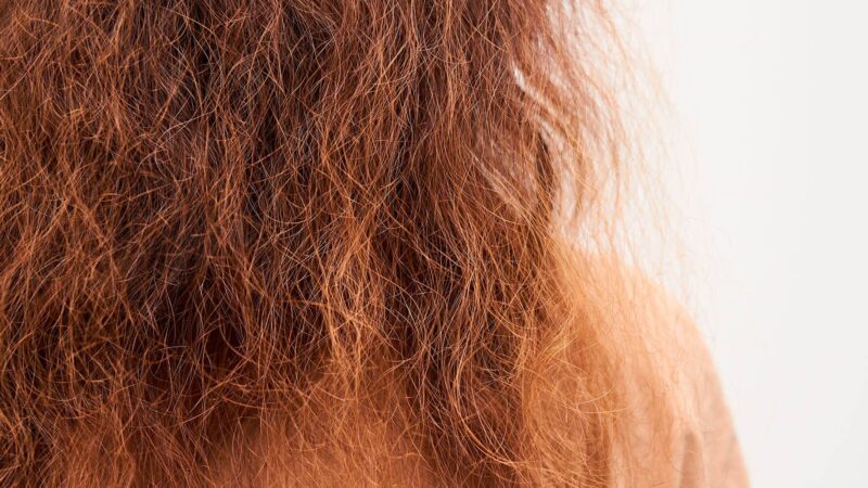 COMO HIDRATAR O CABELO EM CASA – CABELOS RESSECADOS: UM GUIA COMPLETO PARA HIDRATAÇÃO PROFUNDA EM CASA!